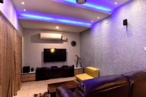 interior-designers-in-idukki-home-theatre-with-false-ceiling-lighting